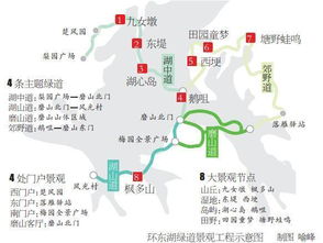 东湖绿道：城市中的生态明珠