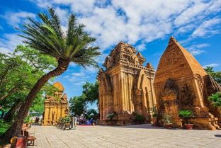 第四章：越南龙桑茶的真面目到底是什么鬼