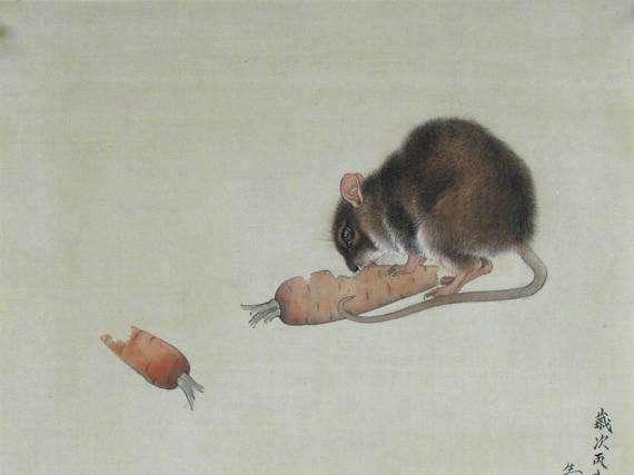 属兔和属鼠合作生意转运招财，兔年如何选择最佳招财转运方法？