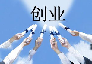 创业失利因素：伪需求、 资本误判与运营失控