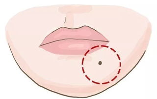 一、 动物的亲近与财运关联：解读“近财不进灾”之理