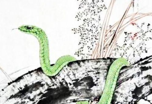 2026年属蛇人的事业运势如何？运势特点是什么？