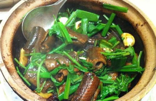 ：孕期膳食考量与膳食养生之重要性