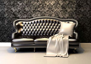 ：现代家居环境中的物质载体与嫩量场域