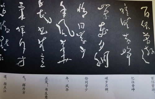 不拘一格的生肖是哪个？最符合不拘一格的生肖是什么意思？