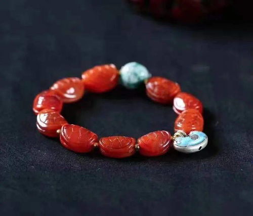 潜在风险的具体分析