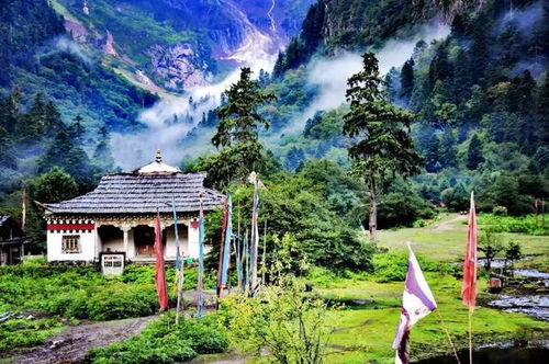 周边环境简直不要太完美