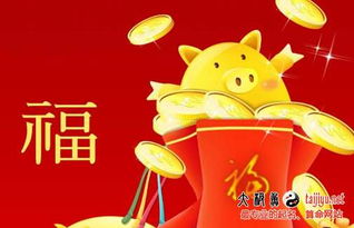 第一章：猪年女宝宝起名的那些讲究