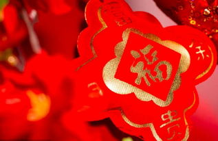一、 探究背景与目的