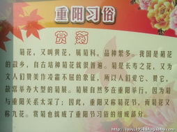 ：重阳节的历史渊源与文化意蕴