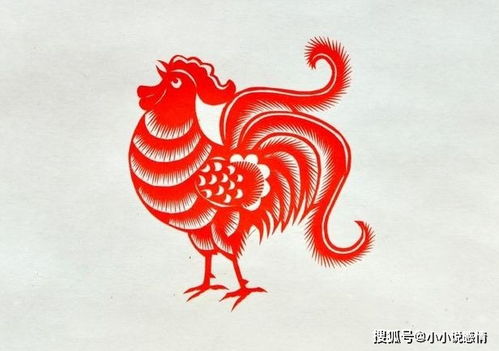 2026年属鸡人下半年做生意如何调整策略？