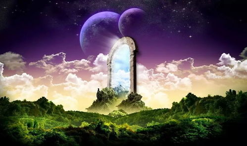 鸟降临的象征