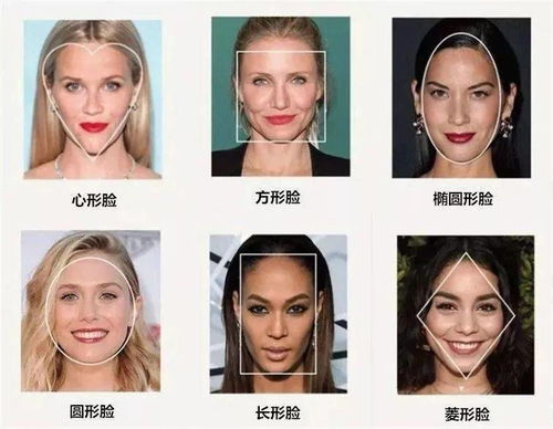 一、 圆形脸型之特征与行为倾向