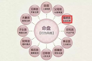 其他主星对夫妻宫的影响