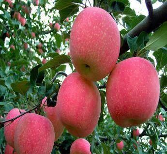 一、  2025年10月适宜搬家的黄历分析