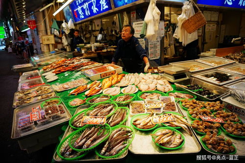 跳岛游与自然景观
