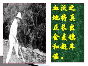 一、 ：文本与国学命题的交叉视域