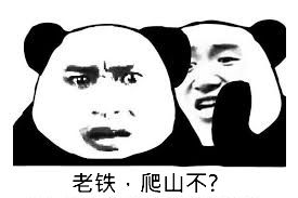 四、 综合评述：表情包作为全息信息载体的学术实际价值