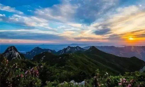 昆嵛山生存指南——如何在2026年黄道吉日薅秃这座山