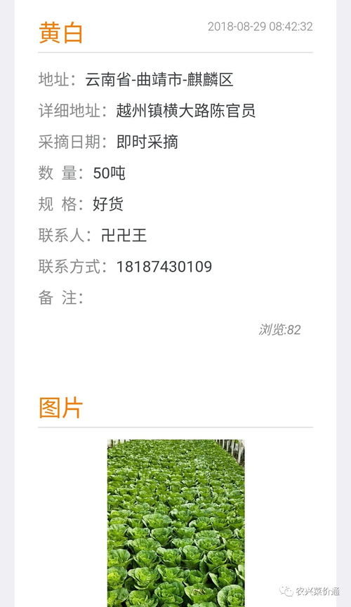 1. 自然地理类象：山川峻岭的宏观映射