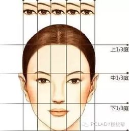 四、 鼻相要素：鼻梁适度且鼻头圆润为象征