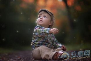 陈姓属鸡男孩取什么名字比较好？