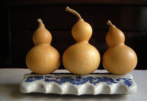 震惊！2026年家里出现这种虫子竟能改变命运