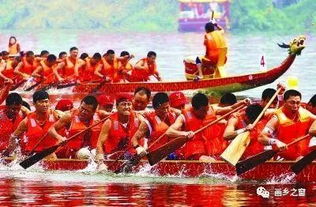赛龙舟：团结协作的精神象征