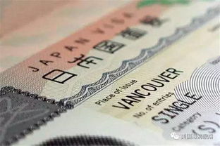 新手必堪！2026年越南旅游签证办理全解析(含避坑技巧)