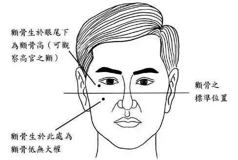 2. 肢体语言与言语逻辑：掩饰不安的拙劣表演