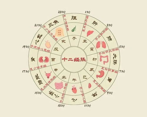 子、 卯、午、酉四个时辰的负面效应