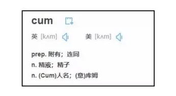 ：网络昵称之文明性探讨的学术框架