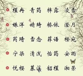1. 吉祥如意的字词