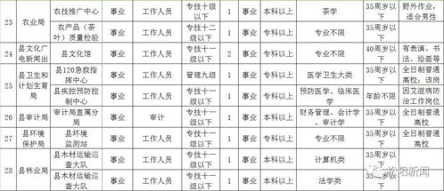 3. 风水布局建议