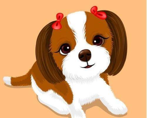 2026年属狗人全年运势及招财物件具体是什么？