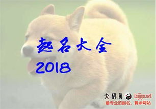 猪宝宝佳字取名大全中，有没有100分名字可以改写成佳字？
