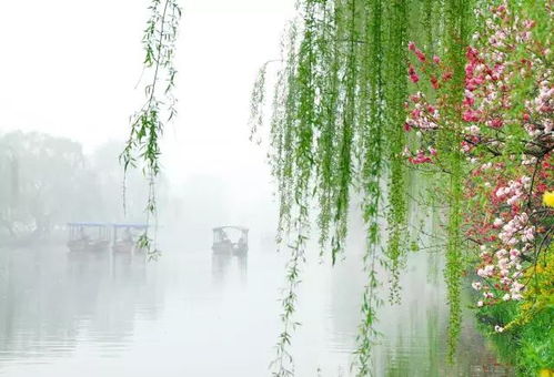 江南的“虚假春天”：园林里的喧嚣，不如村口的老茶馆