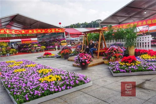 拍照姿势教学：如何在人群中脱颖而出