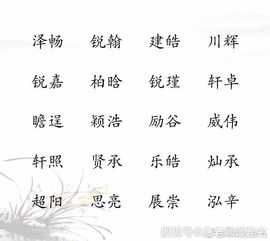 洋气的男孩名字推荐
