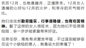 性格特征的系统性分析