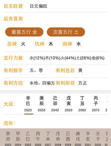 Xiao Zhan 与 Zhang Zhuyuan 简介聚焦