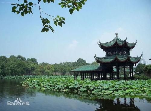 2026年门票玄学价格表