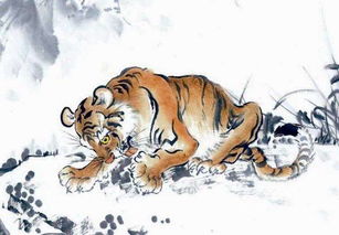 属虎2026年每月运势排名具体是什么含义？