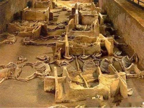 三、 案例研析：从文献到现场的综合视角