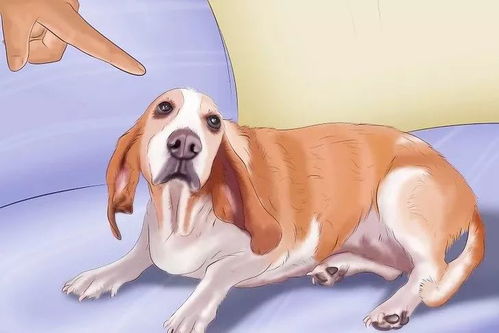 2.1 风水布局的具体实施策略