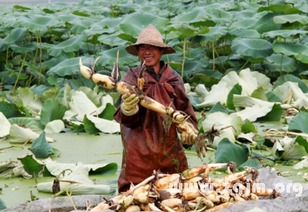 这破梦还能扯出人生大道理？