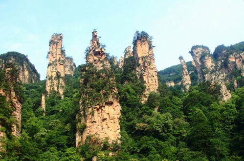 救命！张家界的旅游服务到底是神仙还是魔鬼啊？我不允许还有人不知道这些！