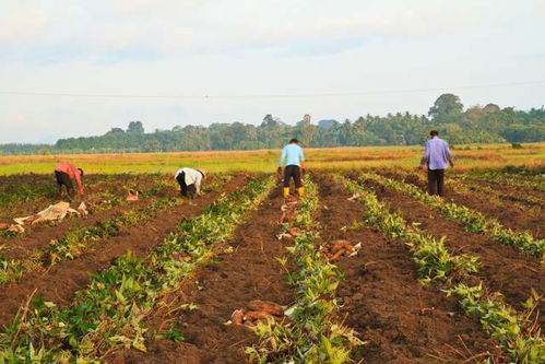 2026年哪些属相不宜搬家，不能乔迁？
