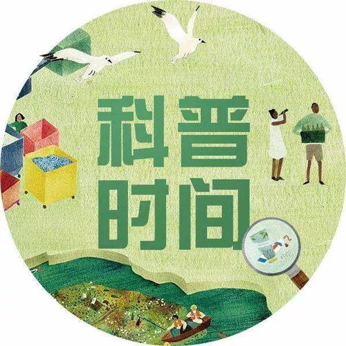 1. 森林资源保护与生态系统稳定性强化