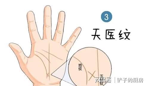 适合参与的职业领域